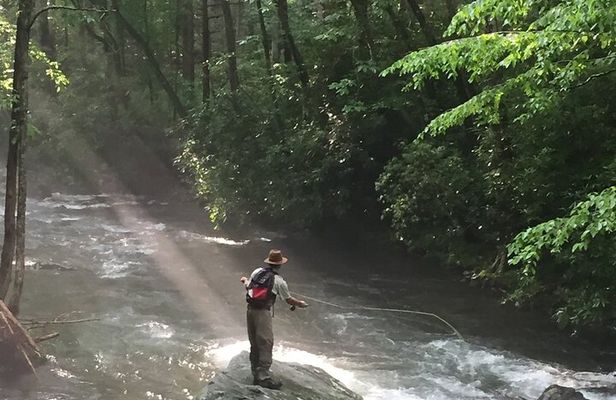 Smoky Mountains National Park Half Day Fly Fishing