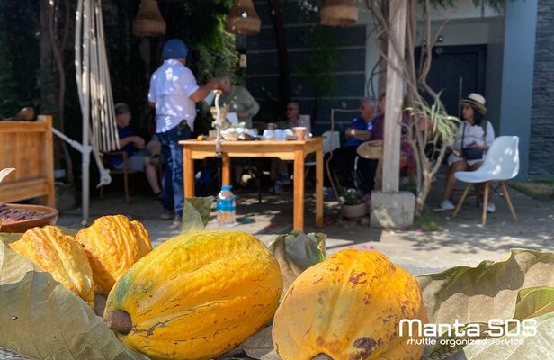 The ultimate Cocoa farm experience