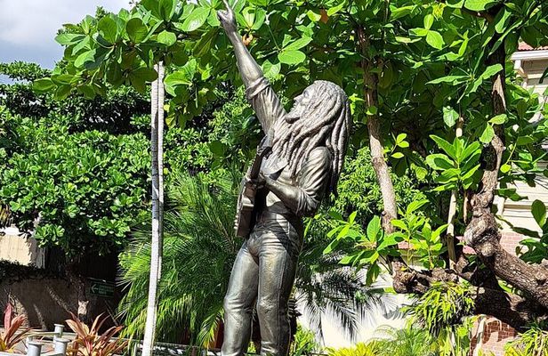 Private Tour in Dunns River Falls