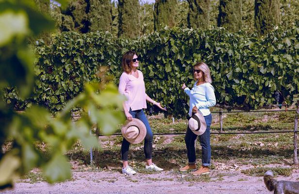 Private Luxury Transportation Experience - Napa