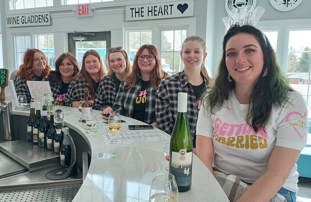 Andie's NON BUS 4-winery Traverse Leelanau Peninsula Wine Tour