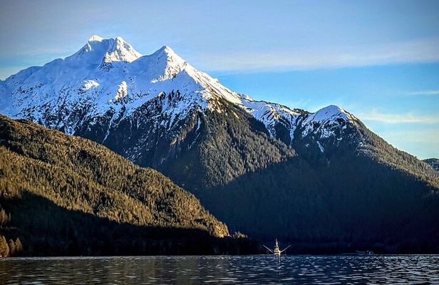 Private Sitka Wildlife LAND & SEA COMBO for 6 w/meal