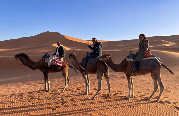 4-Days VIP Small Group Desert Tour Marrakech to Fez or Marrakech