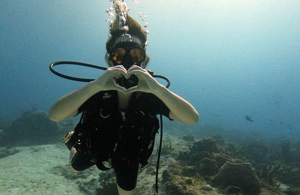 Enjoy two dives without previous experience with a boat trip