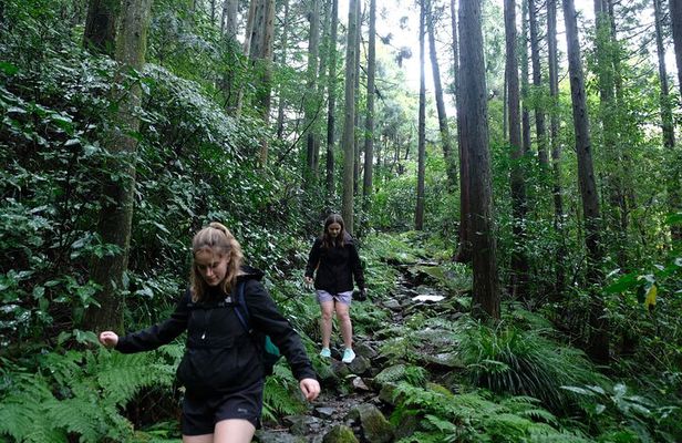 Hike Japan Heritage Hakone Hachiri (Half Day)