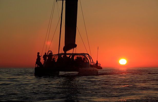 Cape Town Sunset 90 minutes with Escape Cat