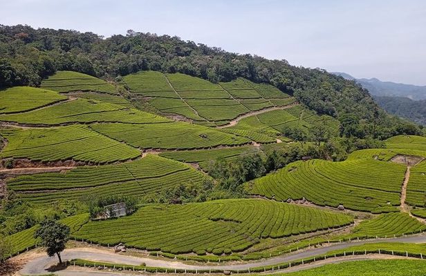 Sandal Wood & Sight Seeing Tour (Munnar Valley Trekking & Tours)