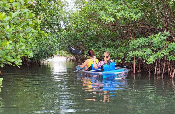 Clear Kayak Eco Tour in Jupiter, Florida