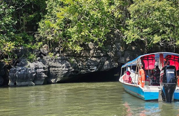 Sharing Half Day Mangrove Boat Tour With Lunch in Langkawi