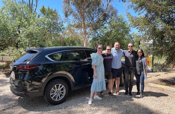 Wine Tasting and Lunch Private Tour in McLaren Vale