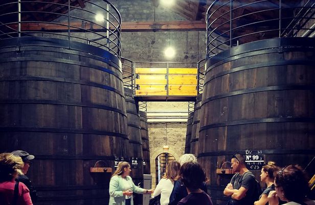 2 wineries tasting & quaint villages 6 hours wine tour in Madrid