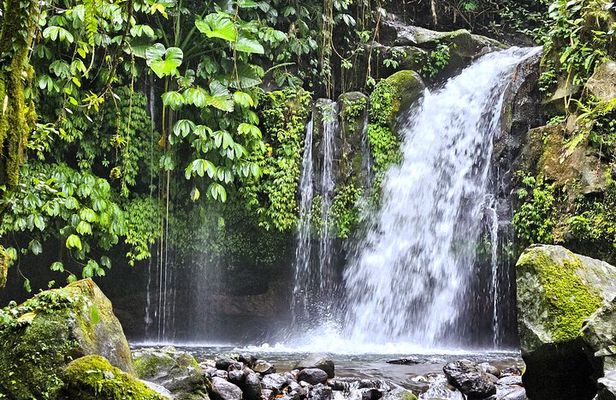 Jungle Trekking at Mt. Batukaru, scenic Waterfall & village life