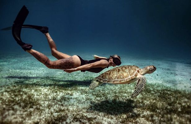 Private Turtle Spotting Snorkeling Excursion in Aruba 