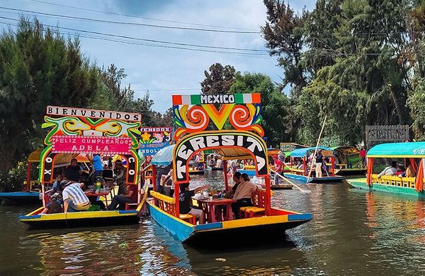 Mexico City: Xochimilco, Coyoacán and University City Tour