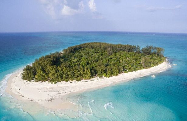 Full - Day Private Zanzibar Tour with dolphins & Sunset Beach