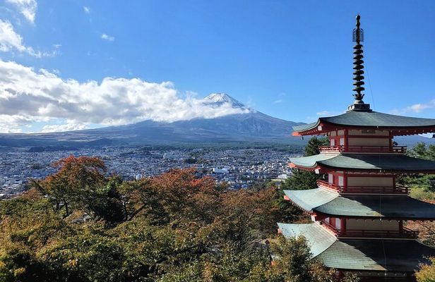 Guided Private Mt. Fuji and Hakone Tour GREEN NUMBER PLATES