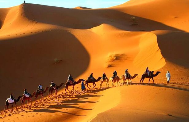 2 Days Guided Tour to Zagora from Marrakech