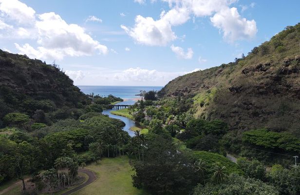 Private Tour-North Shore Oahu ft. Waimea Falls-Customizable