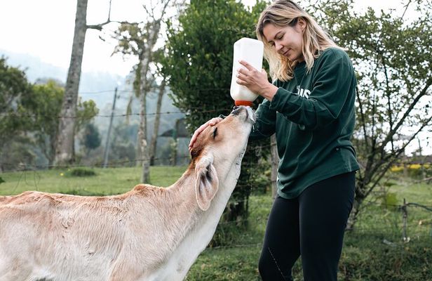 100-Year-Old family-run Finca: Horseback Riding & More