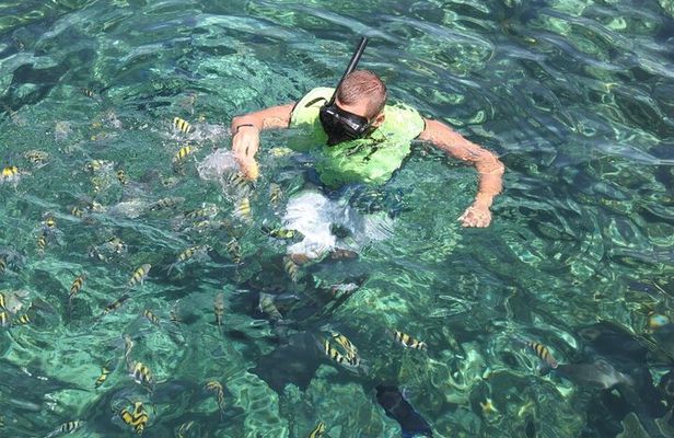 All Inclusive Sailing and Snorkeling Half Day Trip in Bahamas