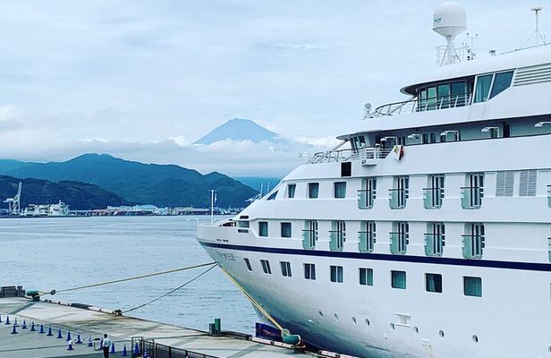Private Sightseeing Tour from Shimizu Port / Sedan Taxi