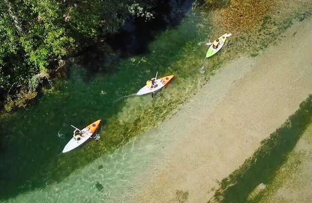 Safari kayak adventure w BBQ & Beer