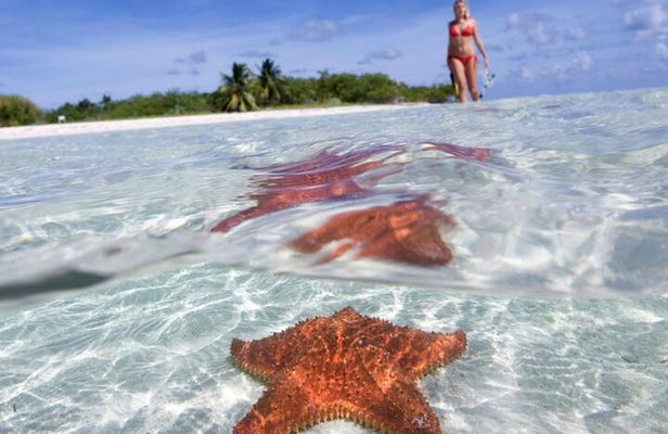 Full day tour to El Cielo in Cozumel Snorkeling and Lunch 