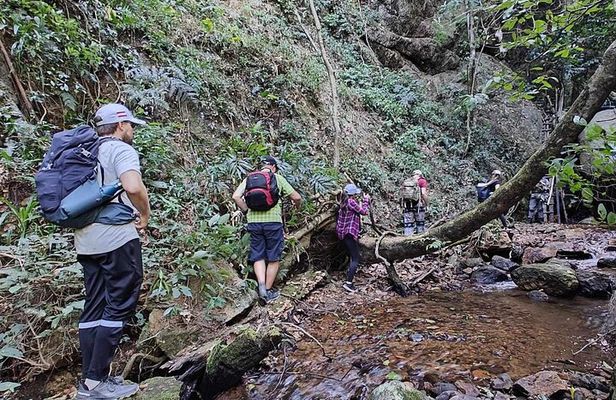 Full Day Doi Saket Hiking Tour