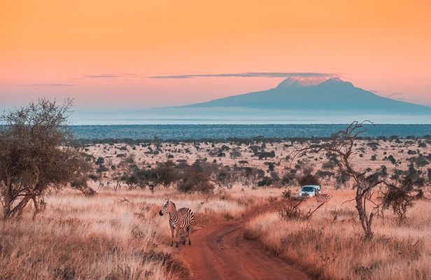 6 Days Mount Kilimanjaro Climbing via Rongai Route
