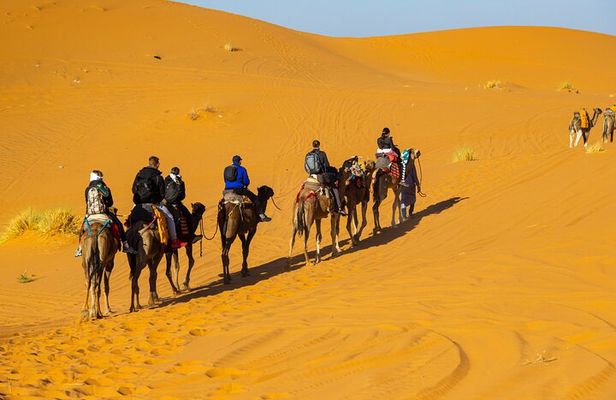 Desert adventure from Marrakech to erg chebe overnight in camp