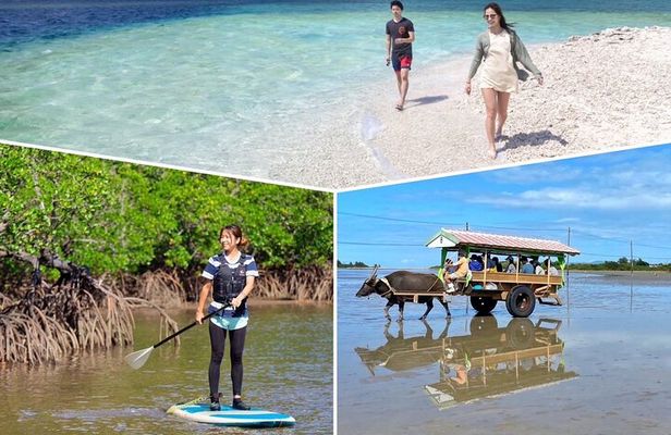Iriomote 1 Day Mangrove SUP/Canoe, Barasu Island & Yubu Island