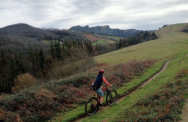 Mountain Bike Small Group Tour in San Sebastian