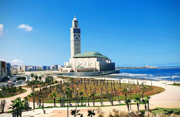 Private Guided Tour of Casablanca Including Mosque Entrance