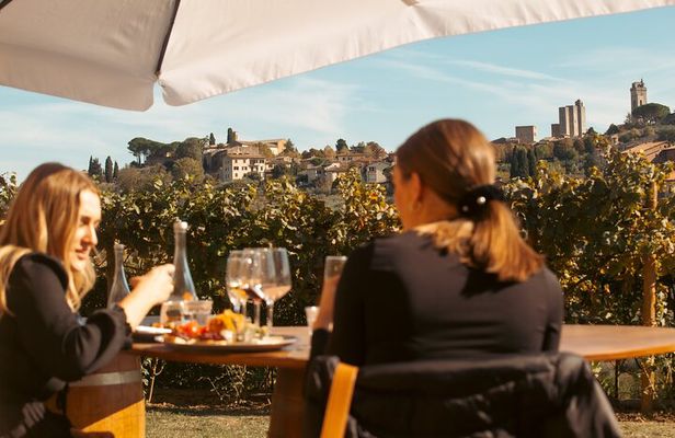 Private Wine, Evo Oil, Balsamic Vinegar Experience & Meal