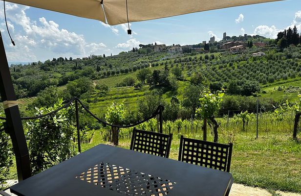 Private Tuscan Lunch with Wine & Evo oil tasting in the Vineyard