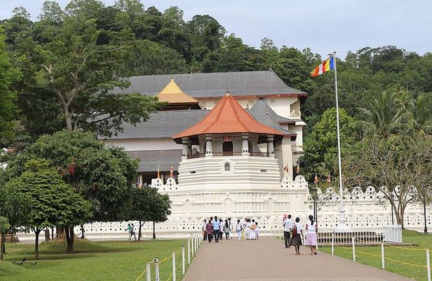 12-Day Private Guided Tour in Sri Lanka