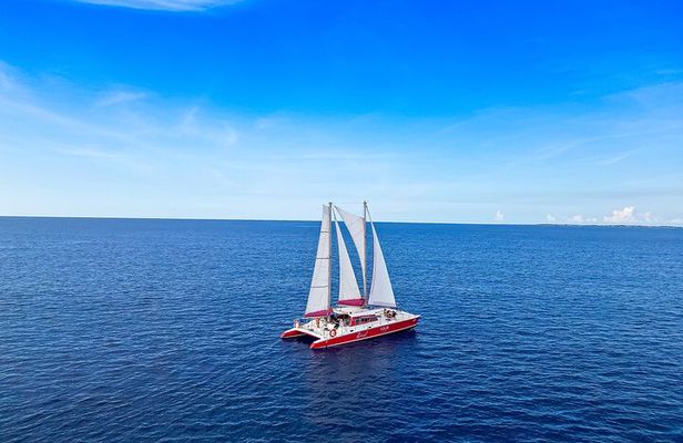Guided Morning Sail to Boca Catalina with BBQ Lunch