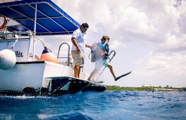 Discover Diving in the Reefs of Cozumel