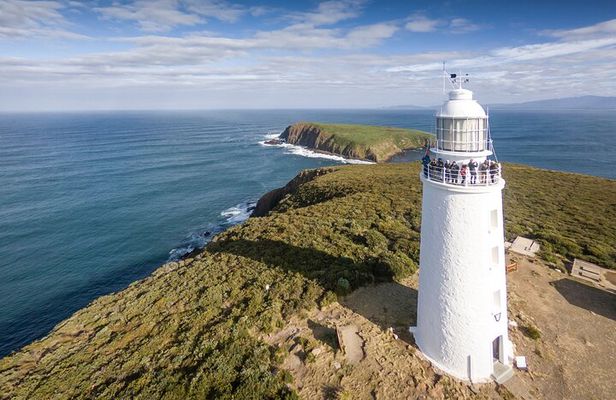 Bruny Island Food, Sightseeing, Guided Lighthouse Tour & Lunch 