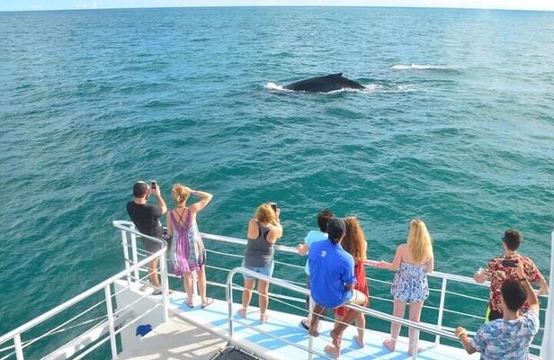 Flamingo Family Fun Catamaran Snorkel:Comfortable shaded seating