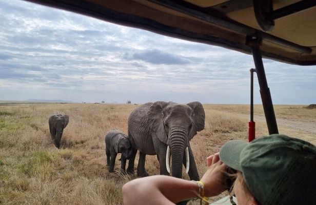 2 Days Safari in Tarangire and Ngorongoro Crater