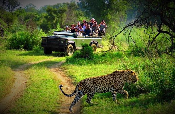 From Kathmandu: Private 3-Day Chitwan Safari Tour