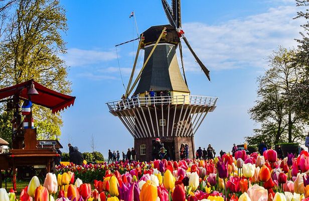 Private Tour Keukenhof Gardens + Tulperij Tulip Experience