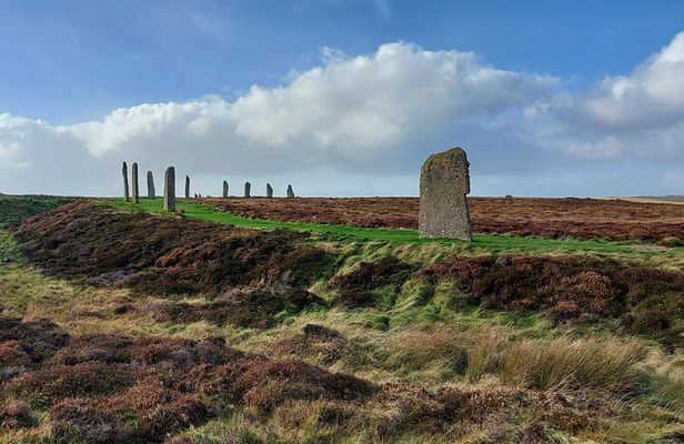 Orkney Day Trip