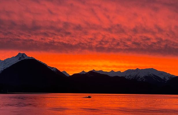 Sitka's Ultimate Wildlife Boat Tour