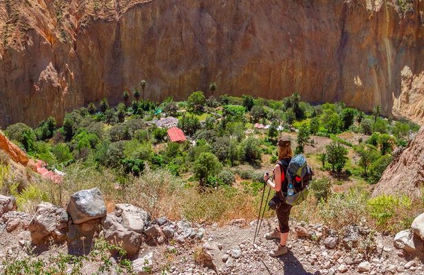 2 Days and 1 Night trekking Through Colca Canyon