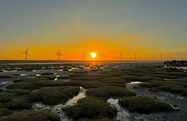 Trip from Taipei to Taichung Chung She Flower and Gaomei Wetland