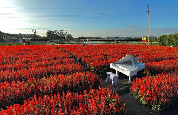 Gaomei Wetlands, Rainbow Village, Miyahara & Zhongshe from Taipei