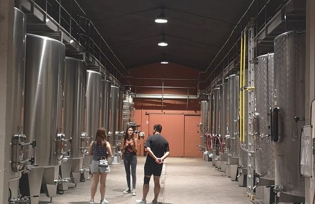 Half-day in the Médoc : 2 wineries & 6 wines