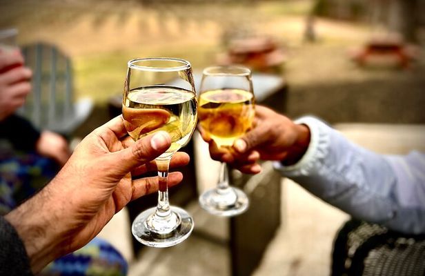 Elijay Hike w/ Waterfall & Wine Tasting Private Tour from ATL